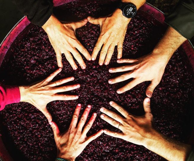 mains au dessus d'une barrique