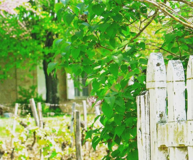 Portail ancien à l'entrée de Brethous