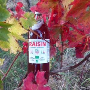 Pur jus Merlot 1 L
