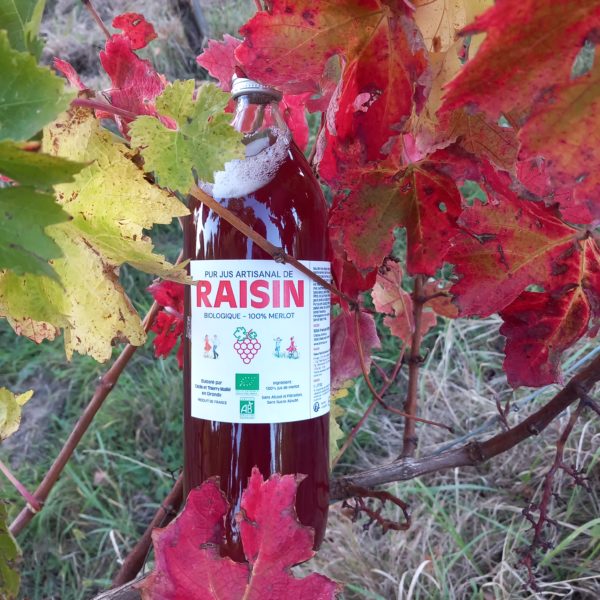Pur jus Merlot 1 L
